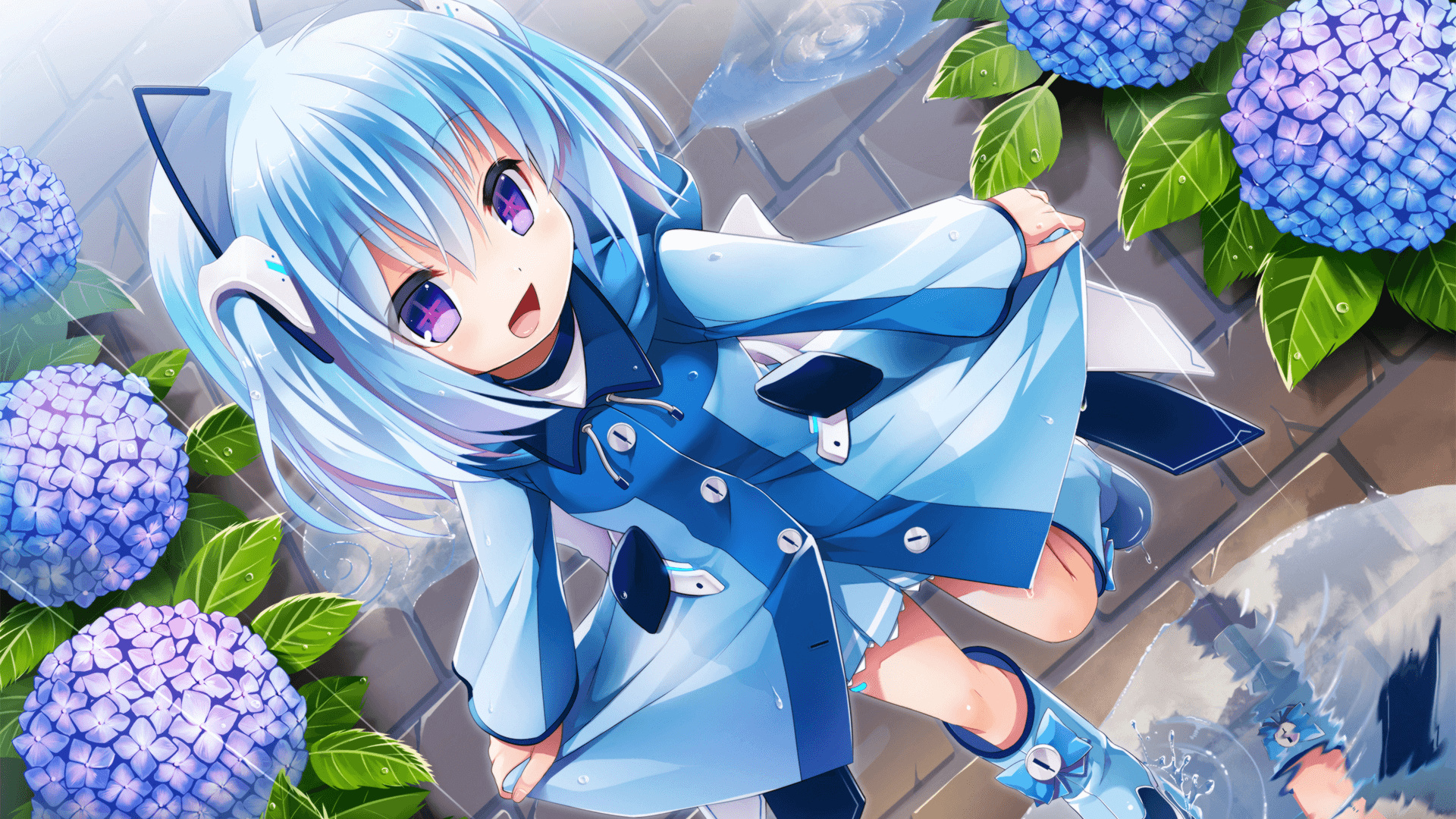 本站同款主题全量文件----持续更新