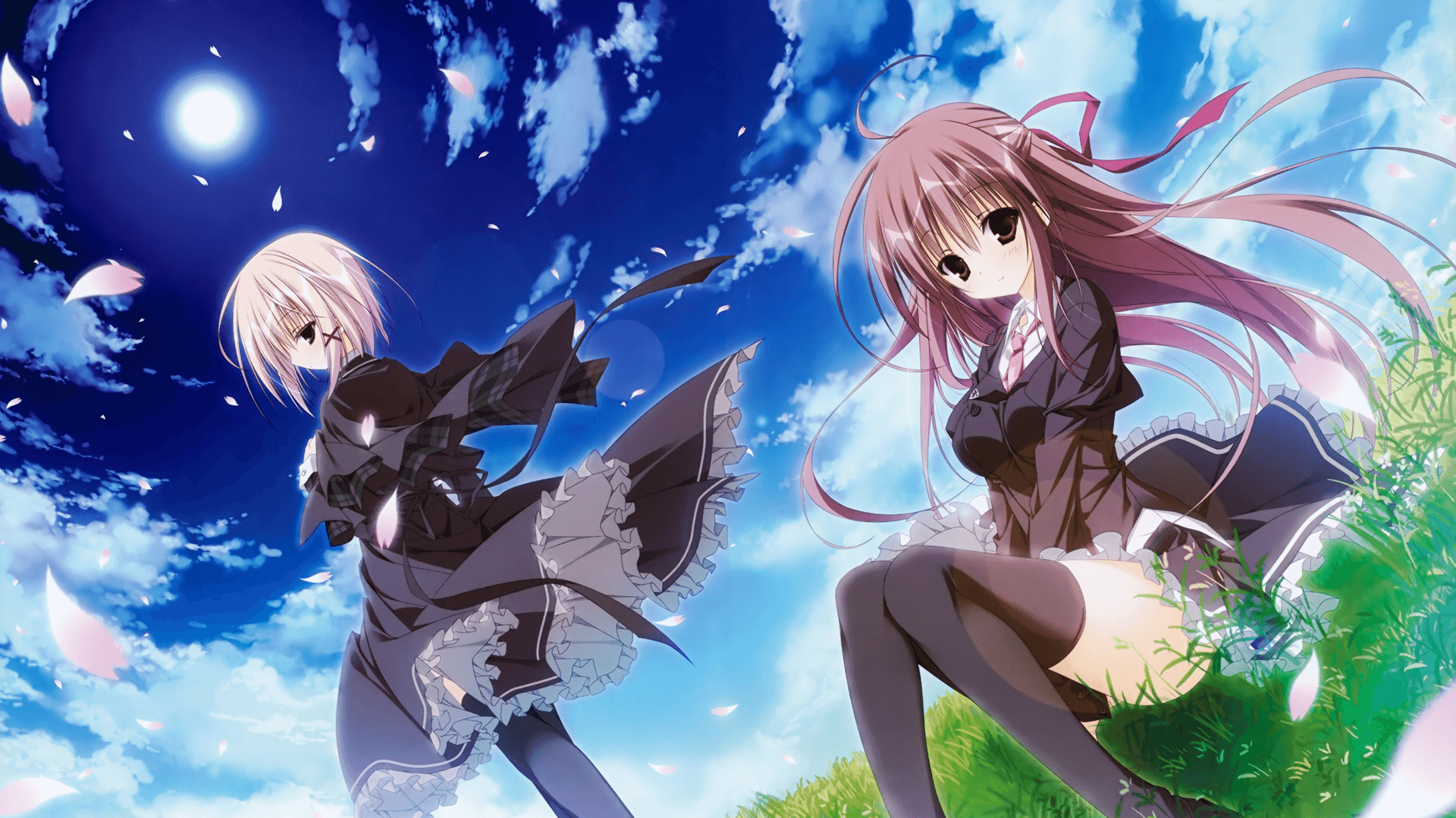 本站同款主题全量文件----持续更新