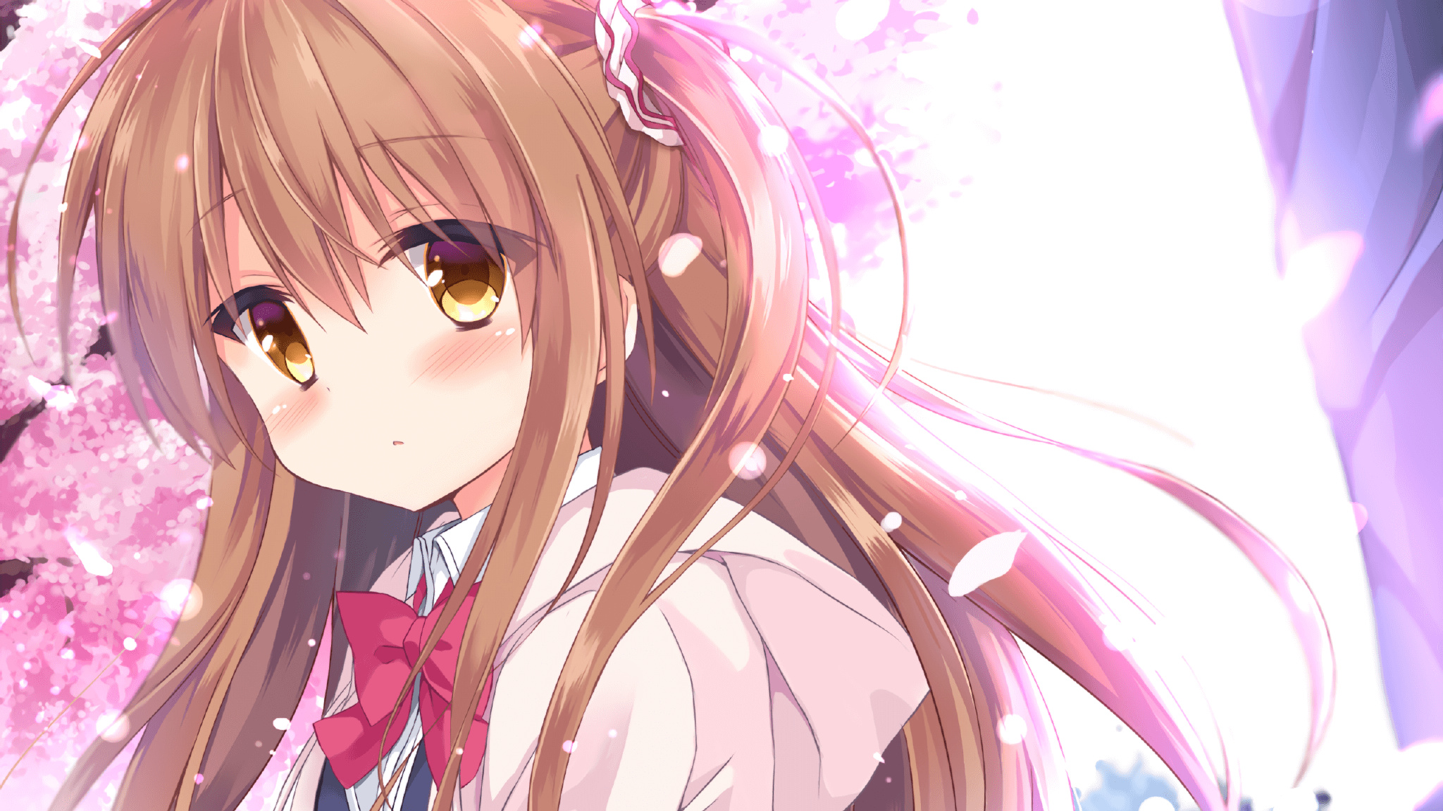 本站同款主题全量文件----持续更新