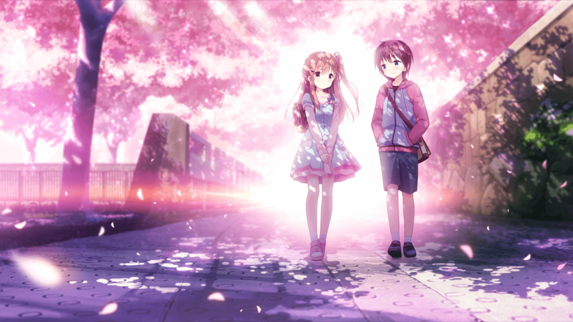 本站同款主题全量文件----持续更新