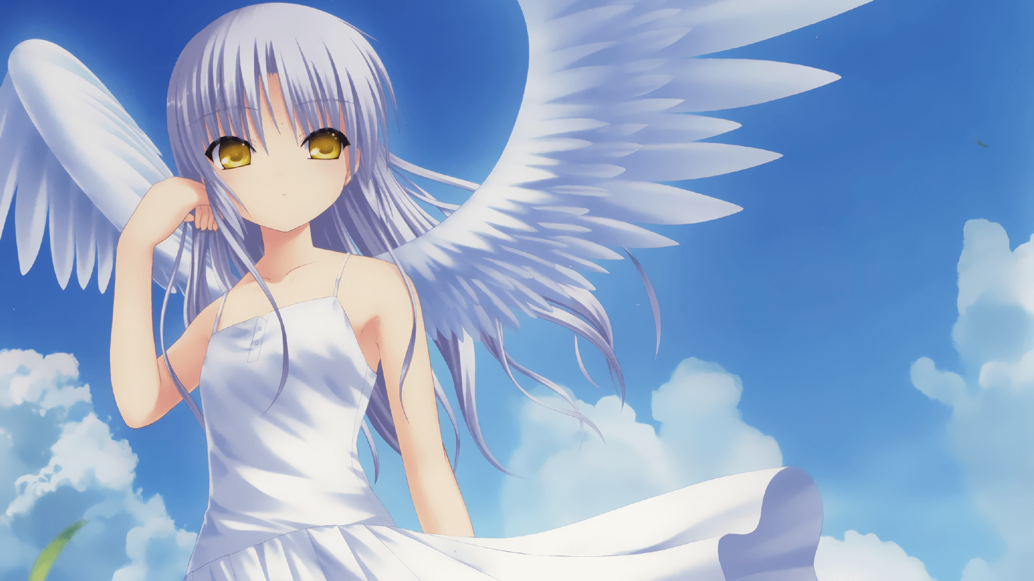 本站同款主题全量文件----持续更新