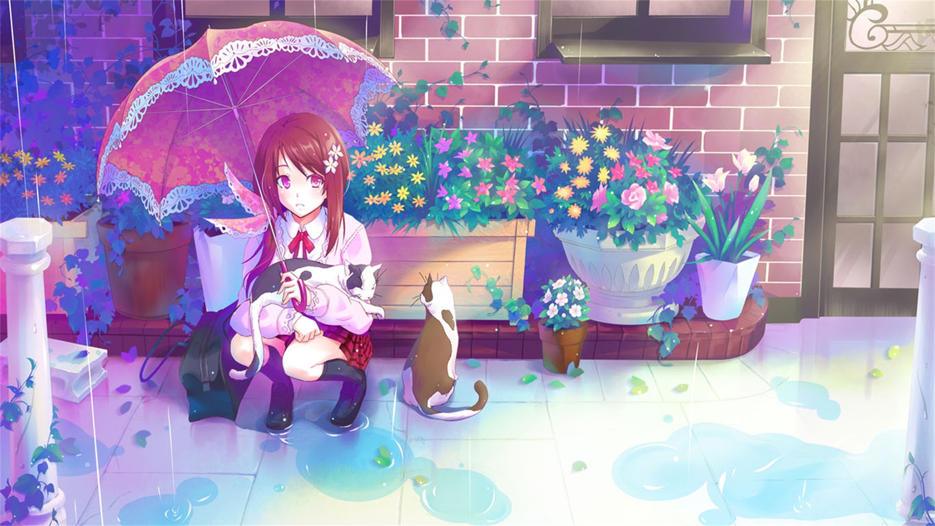 本站同款主题全量文件----持续更新