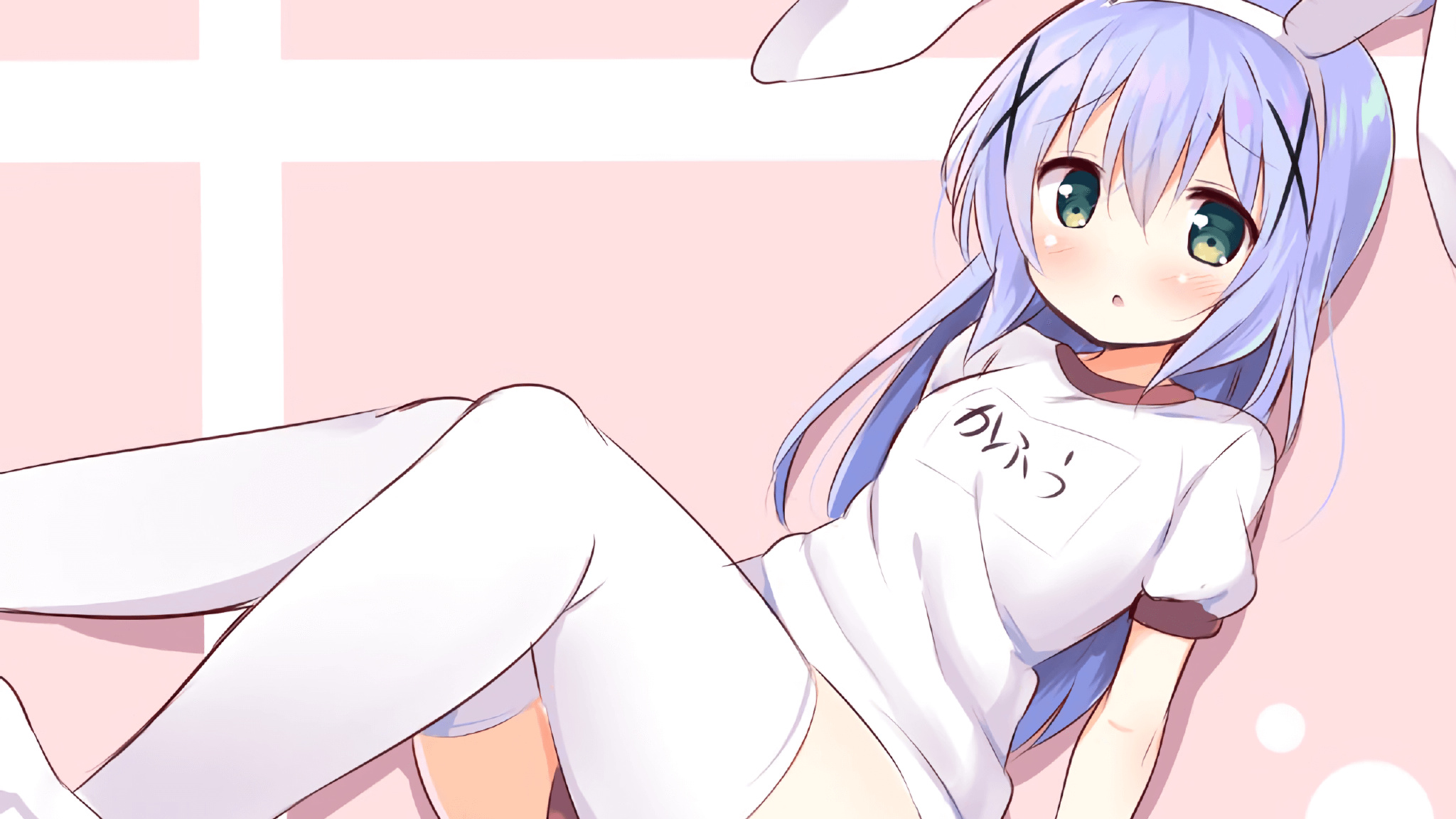 本站同款主题全量文件----持续更新