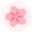 樱花随机二次元图片API