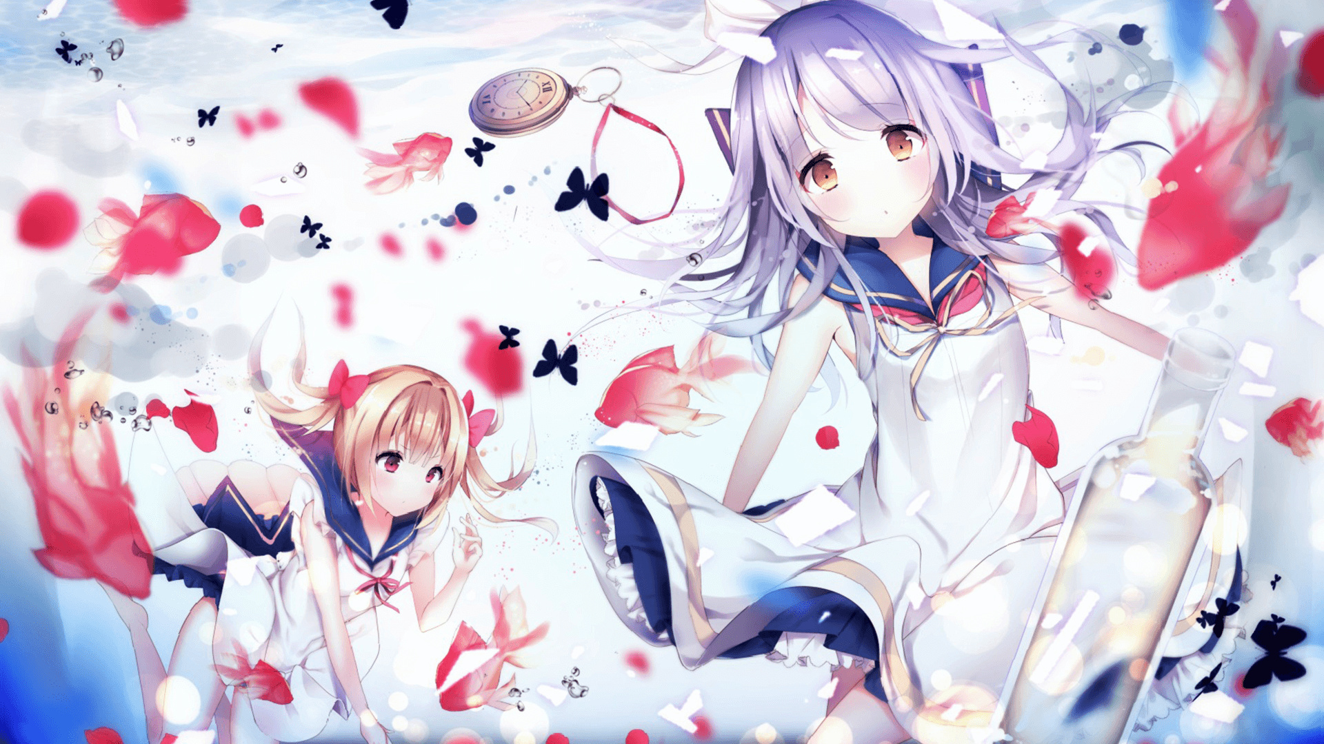 隐私政策 的封面